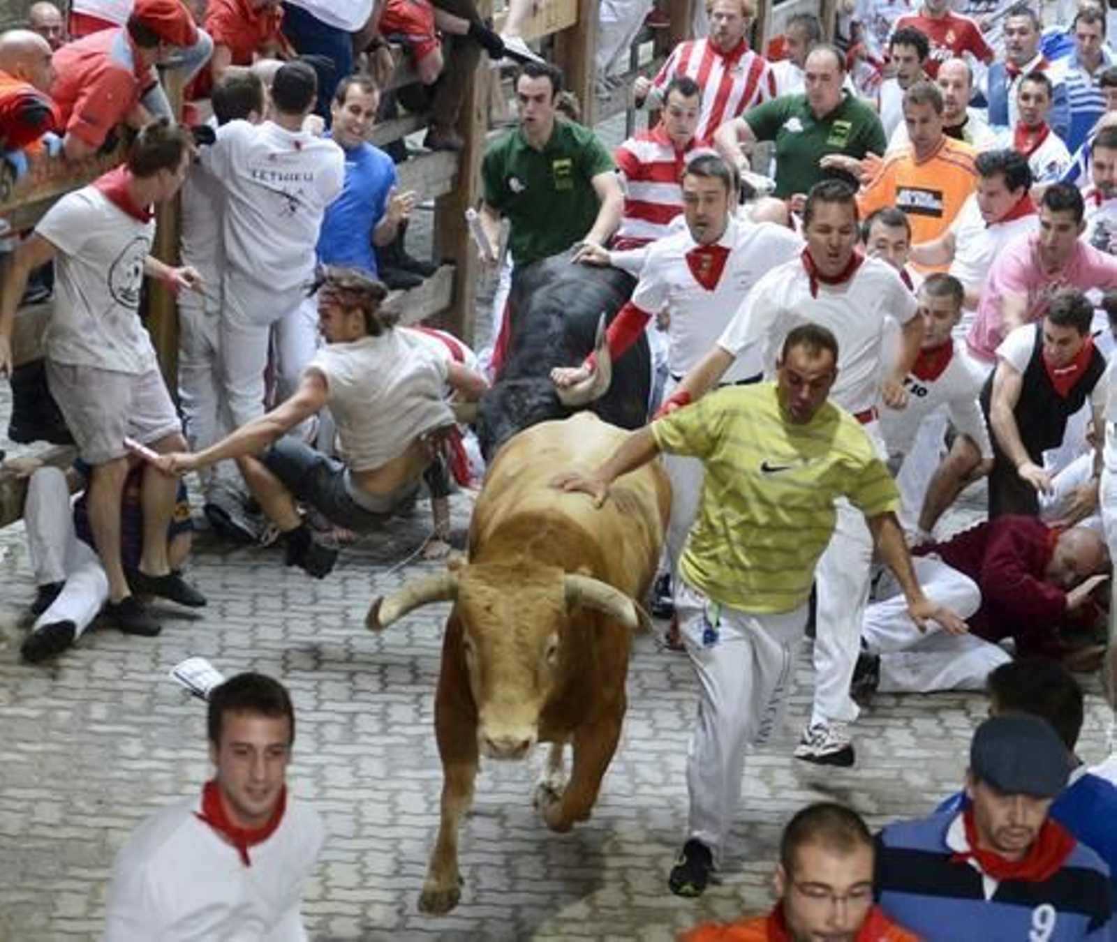 El primer encierro de 2012 finaliza con una cornada en el primer tramo y la entrada en la plaza de un toro con un mozo en una de sus astas.

Foto: EFE / Reuters
