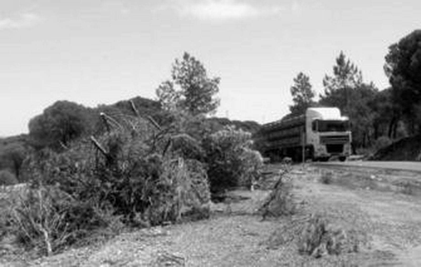 Restos forestales acumulados junto al lugar donde comenzó en 2004 el gran incendio de Riotinto.