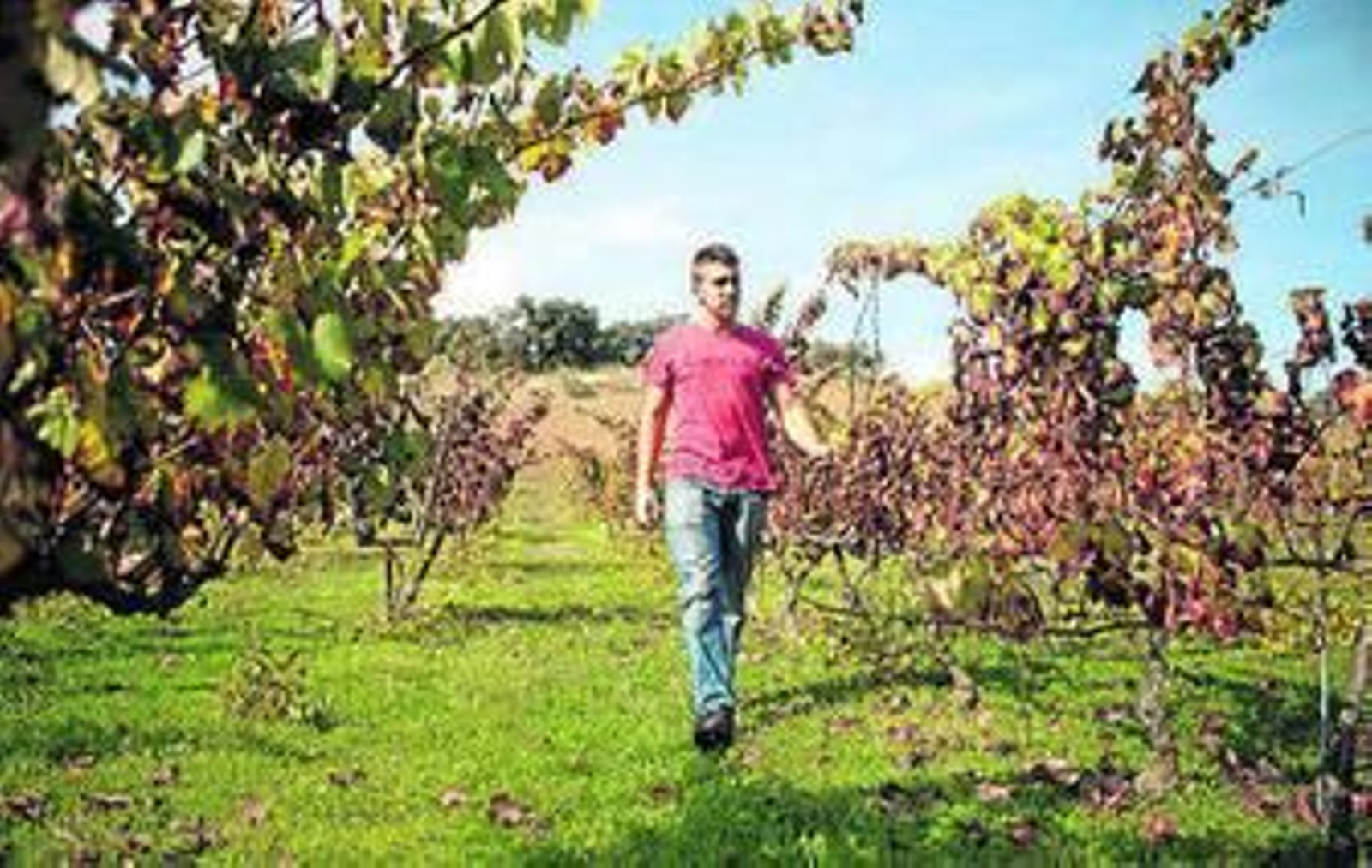 La finca La Melonera.