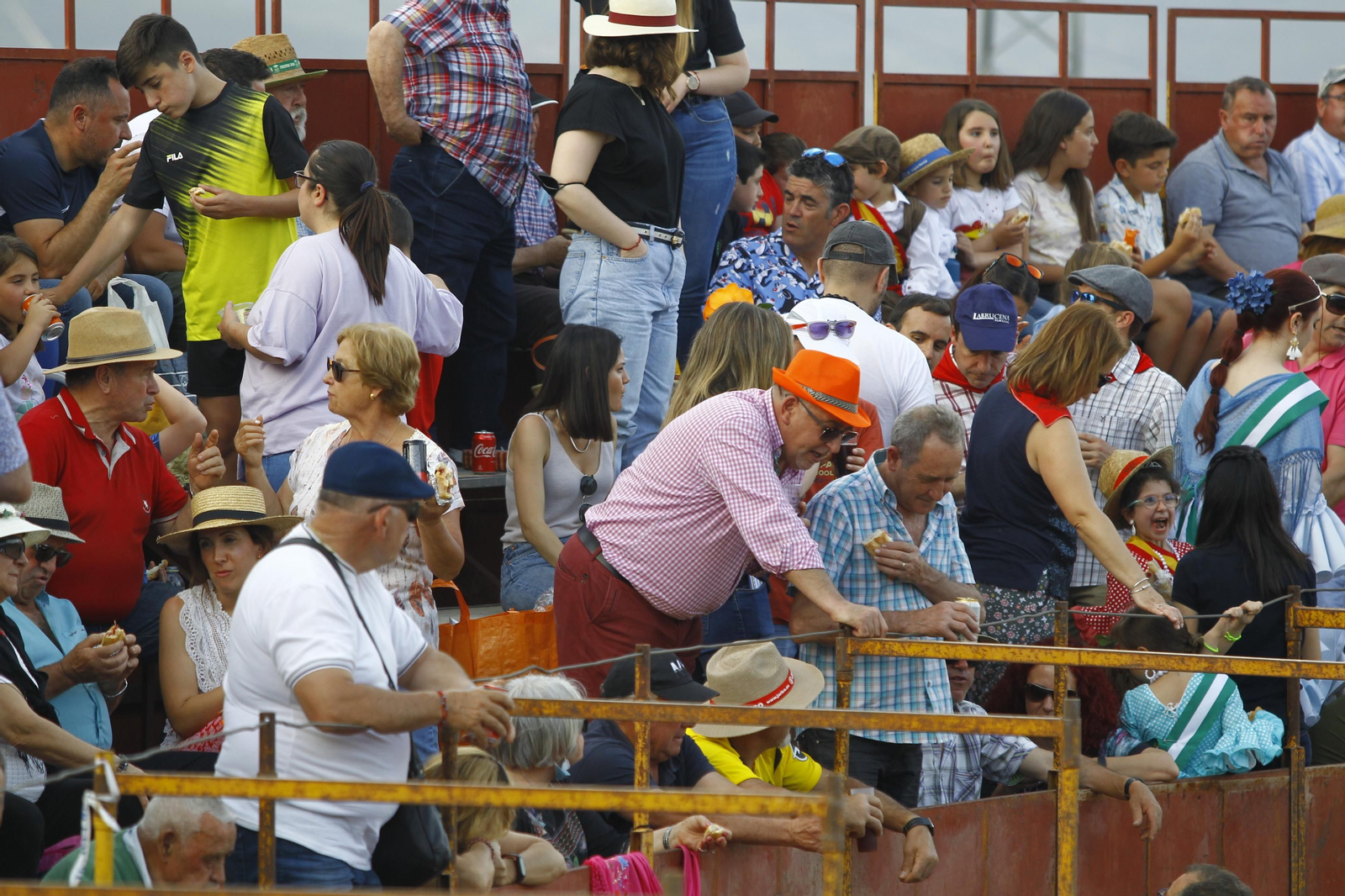 Imágenes de la corrida de toros en las Fiestas de Abrucena.