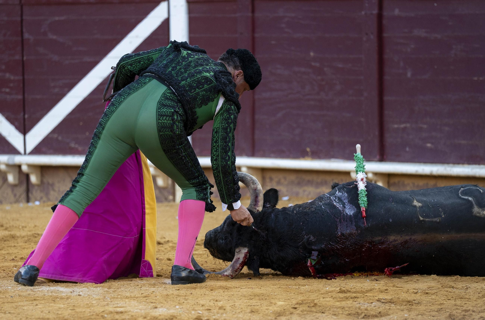 Las imágenes de los toros en Vera