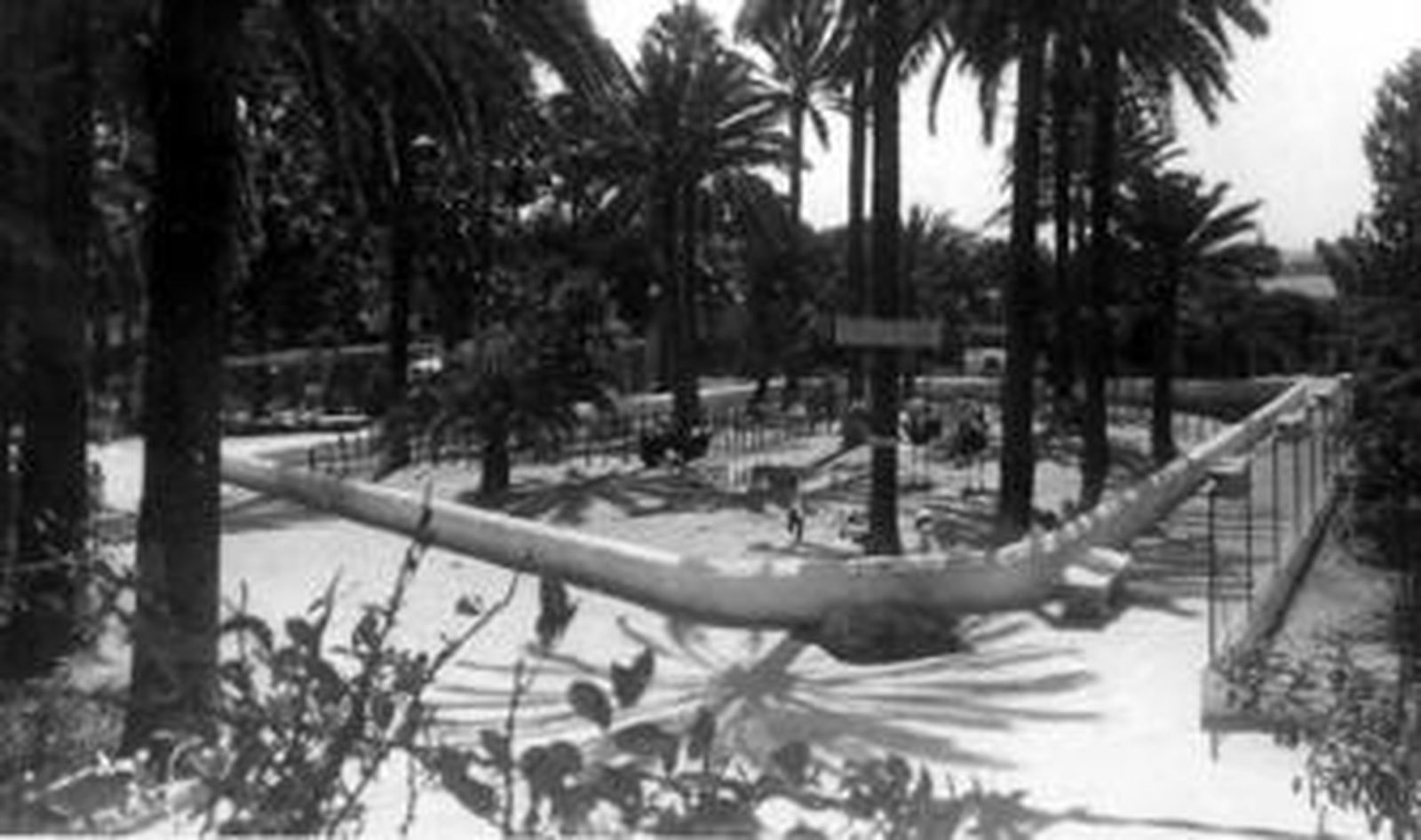 Imagen de los primeros años del Zoo de la zona del palmeral.