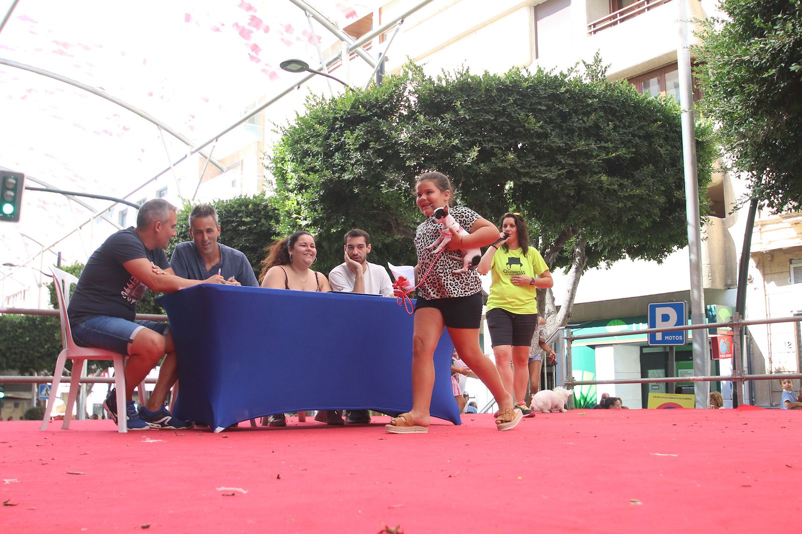 Fotogalería del concurso canino. Feria de Almería 2019