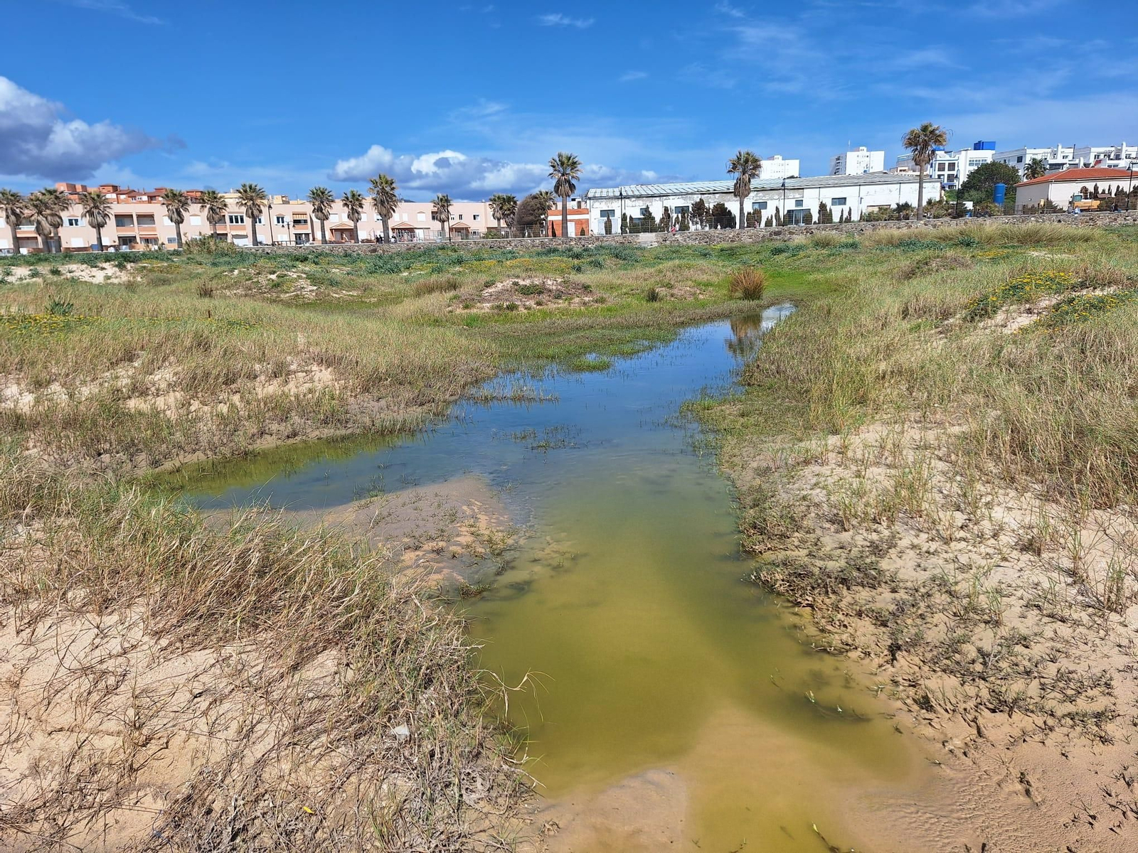 El vertido de aguas fecales en la playa de Los Lances de Tarifa, en imágenes.