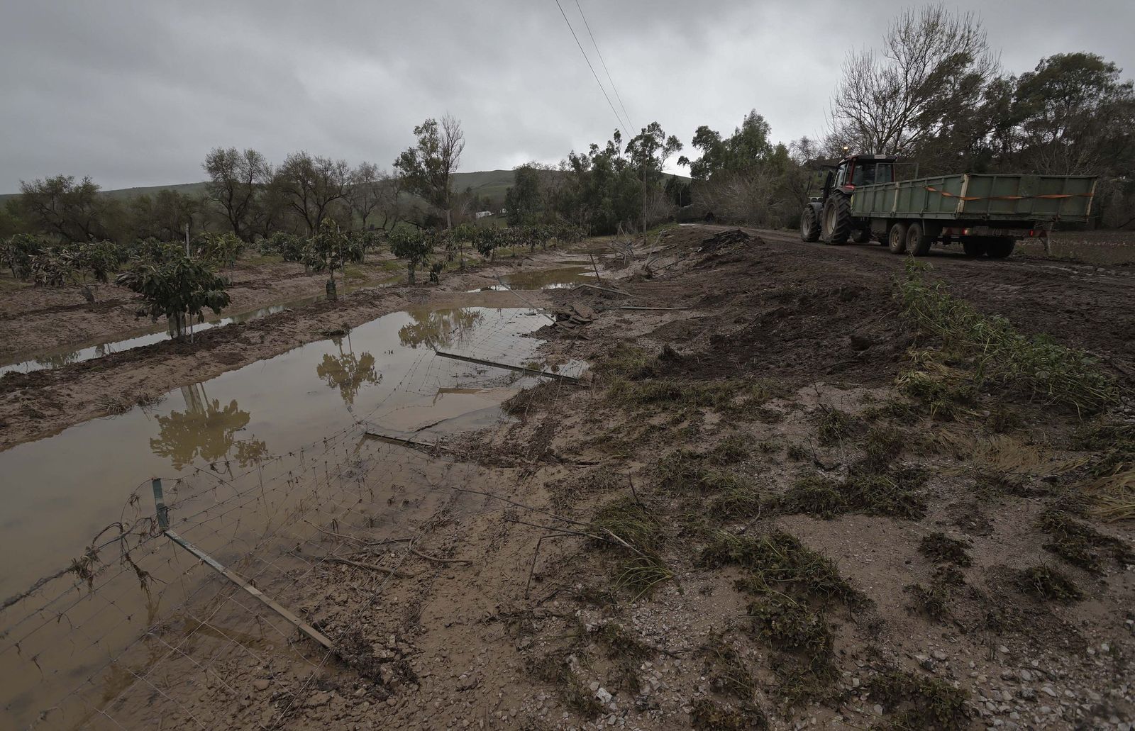 Fotos de los desperfectos provocados por las borrascas en Jimena de la Frontera