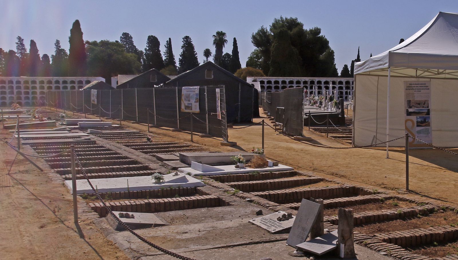 Visita a la fosa de Pico Reja