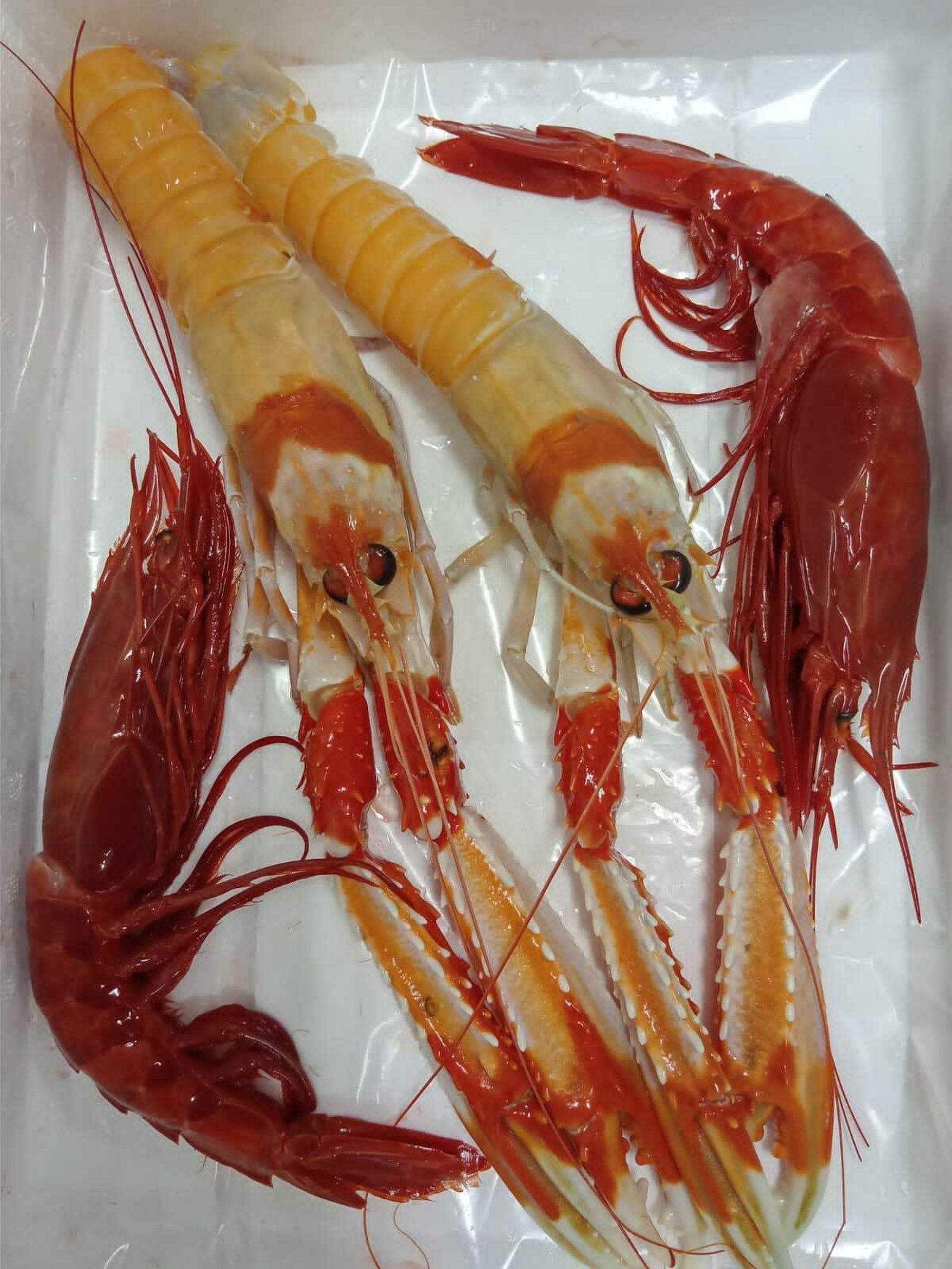 Productos frescos del día.