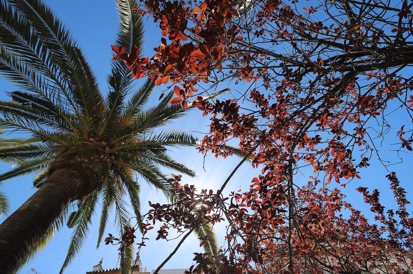 Imágenes del miércoles 22 de marzo en Huelva