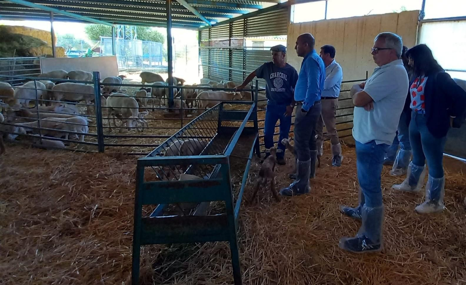 Antonio Mena Visita una explotación ganadera.