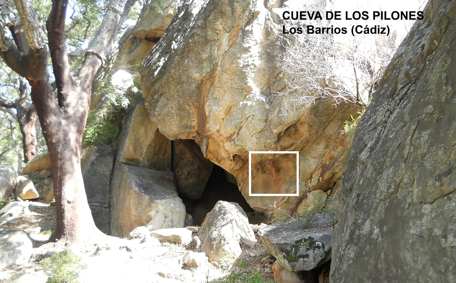 Vista frontal de la Cueva de los Pilones, Los Barrios, Cádiz.