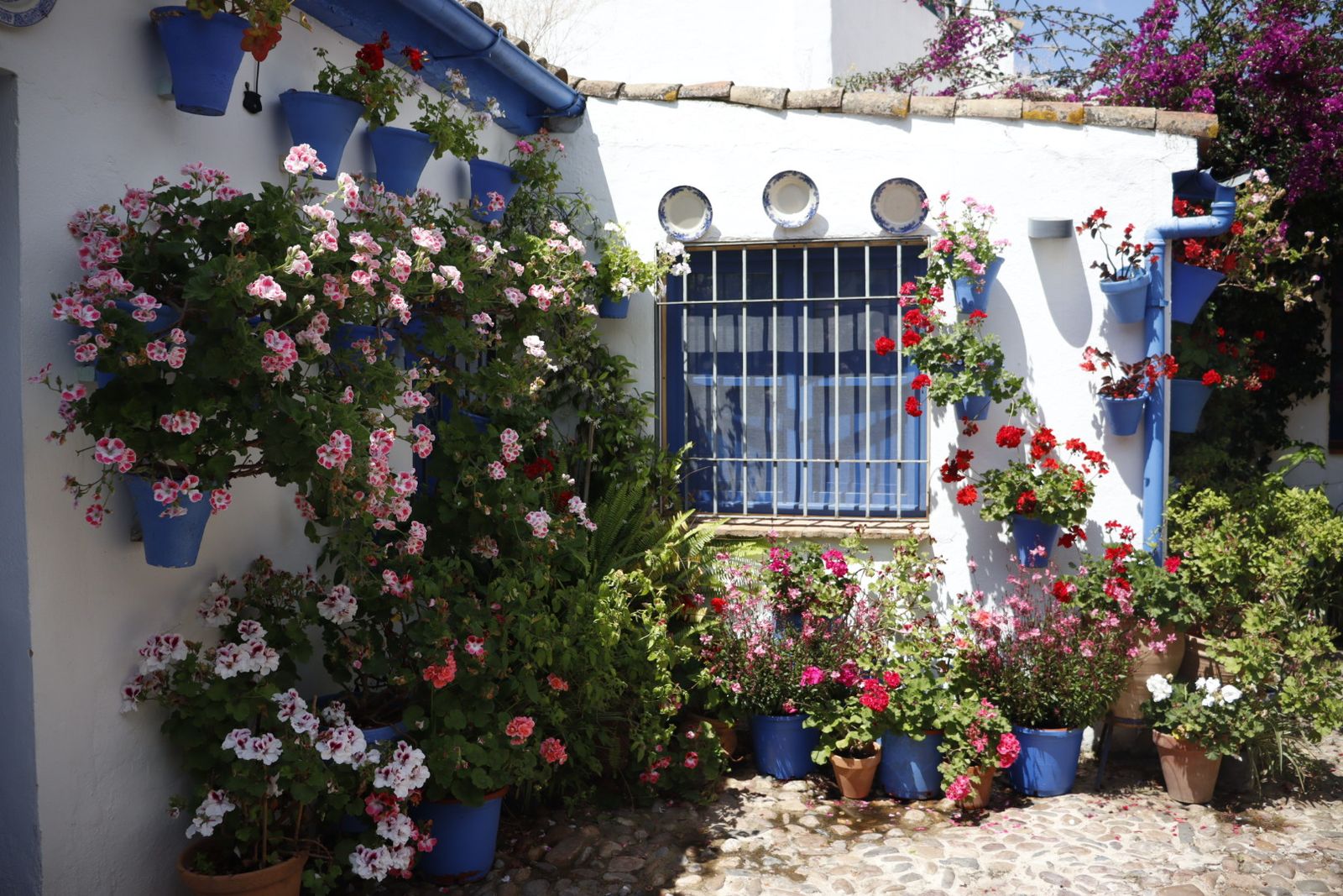 Ruta de los patios de San Lorenzo