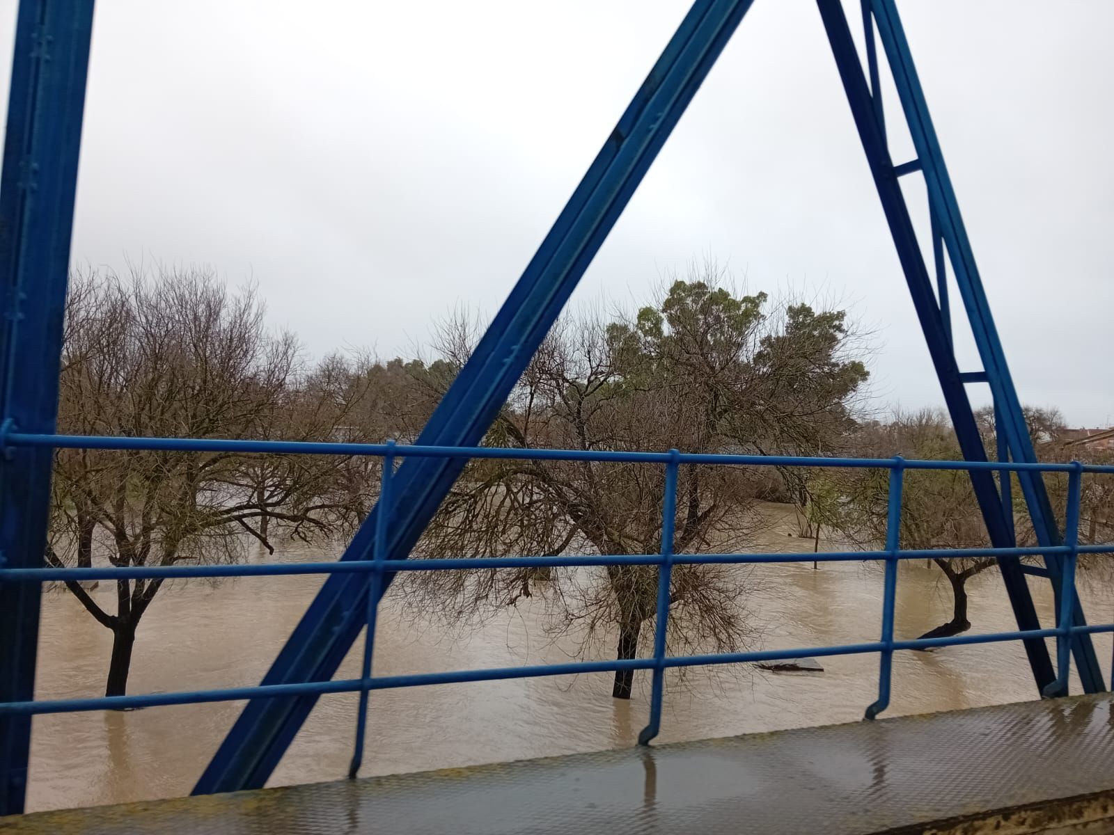 El río Guadalete, a su paso por el puente de hierro de La Barca, este jueves.