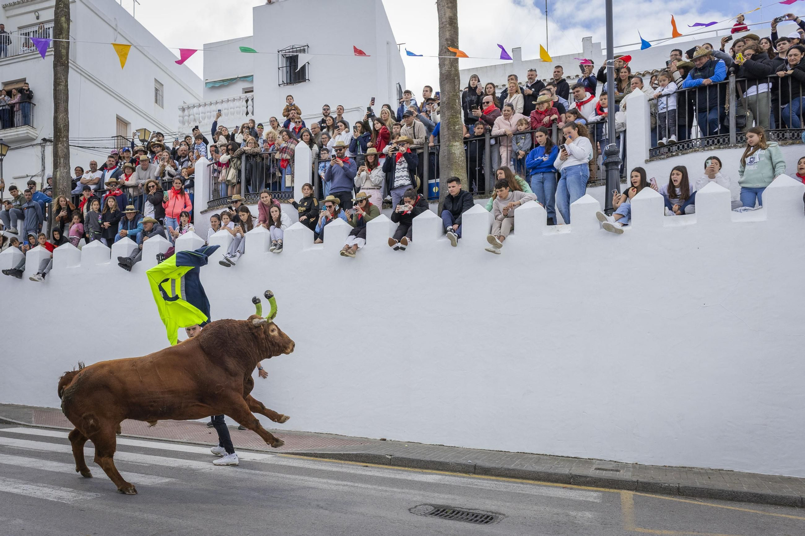 Las imágenes del Toro Embolao de Vejer 2025