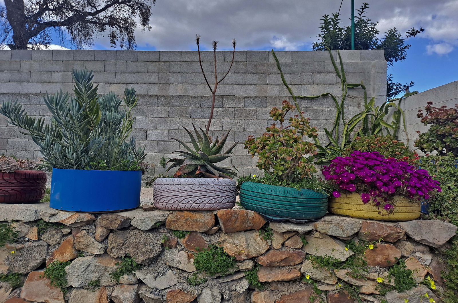 Fotos del sendero de la Garganta de Marchenilla en Algeciras