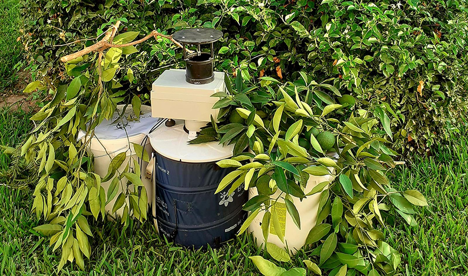 Trampa que emplea machine learning para estudiar la presencia de mosquitos.