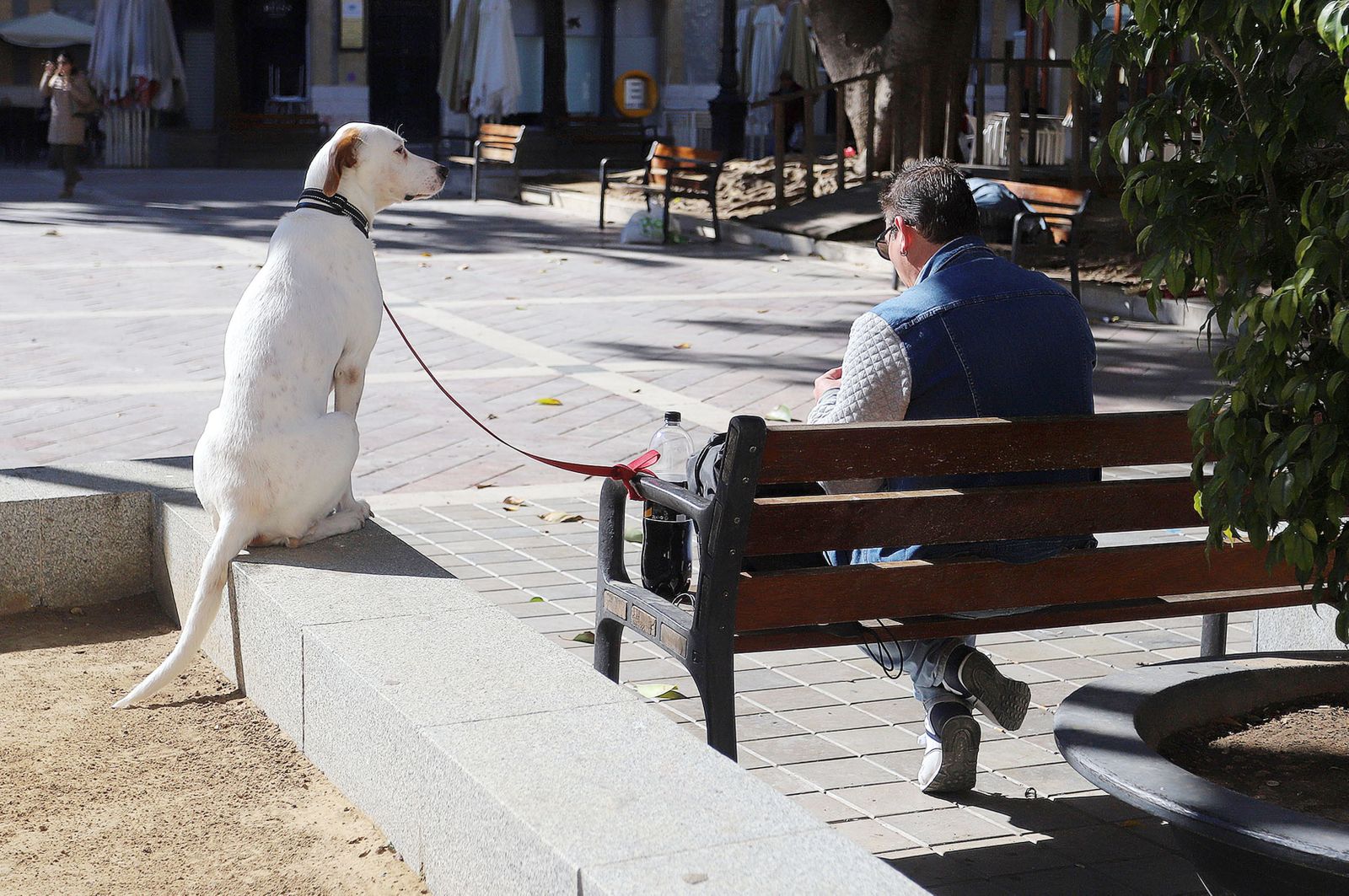 Imágenes del sábado 4 de febrero en Huelva