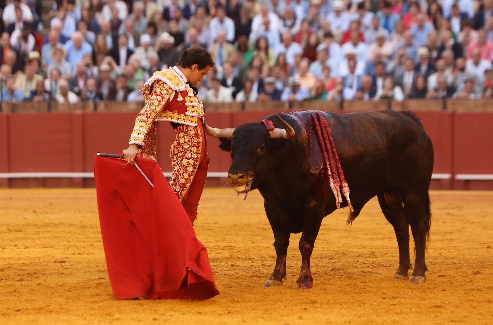 Las mejores imágenes de la corrida de toros de Juan Ortega, Roca Rey y Pablo Aguado