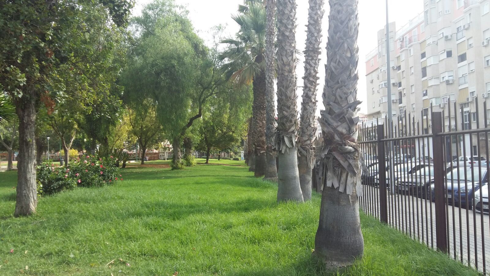 Imagen de parque de María Luisa, con su nuevo vallado perimetral.