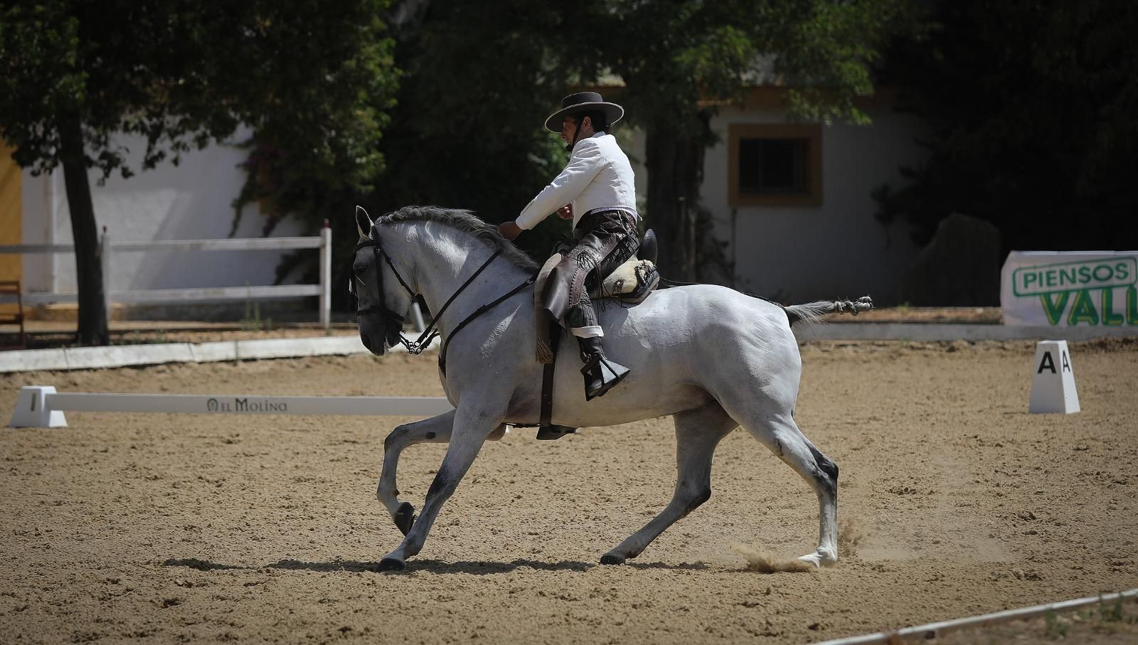 Jinete y caballo realizan uno de los ejercicios del Concurso.