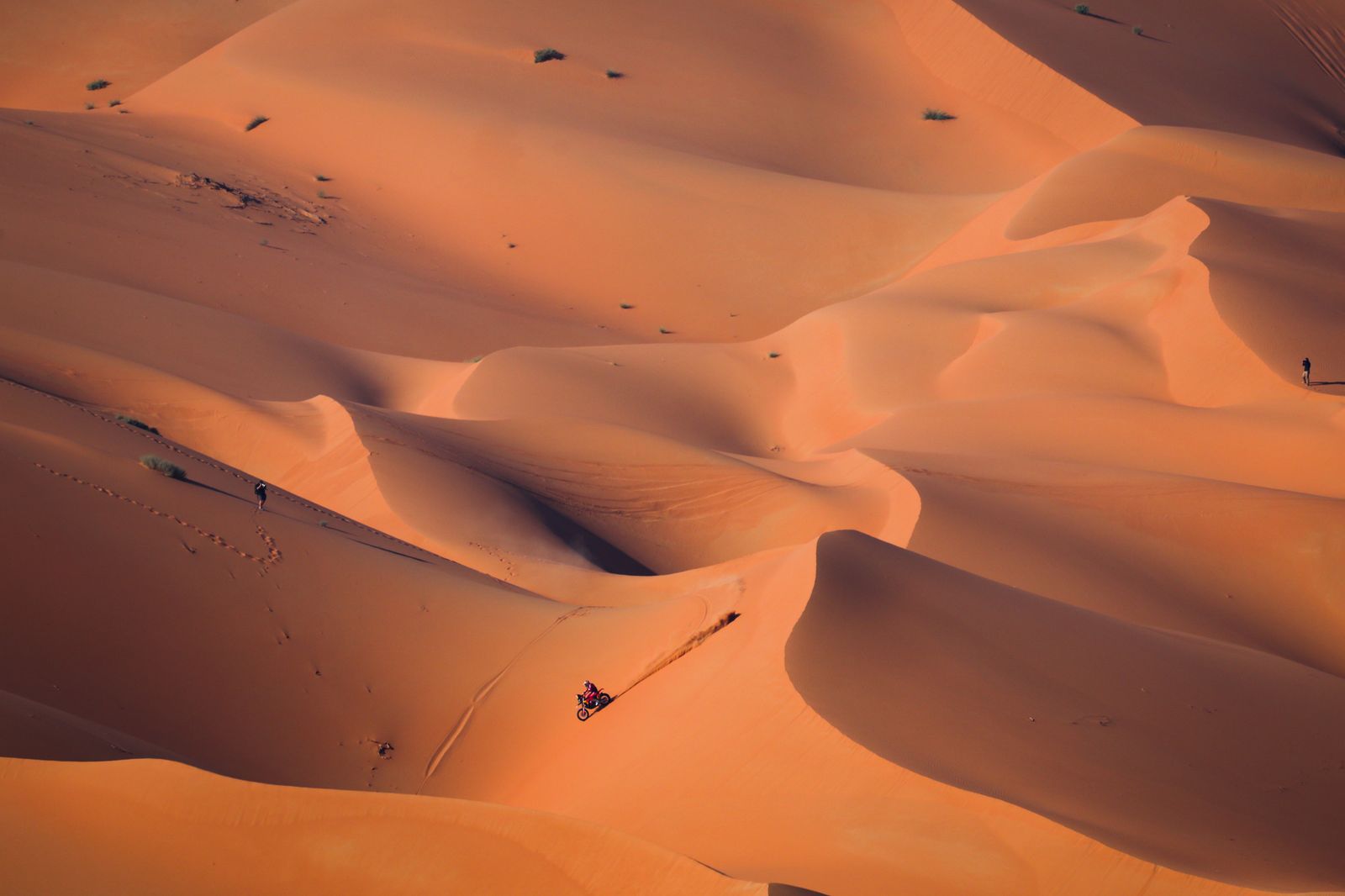 Las mejores fotos del Dakar por las dunas