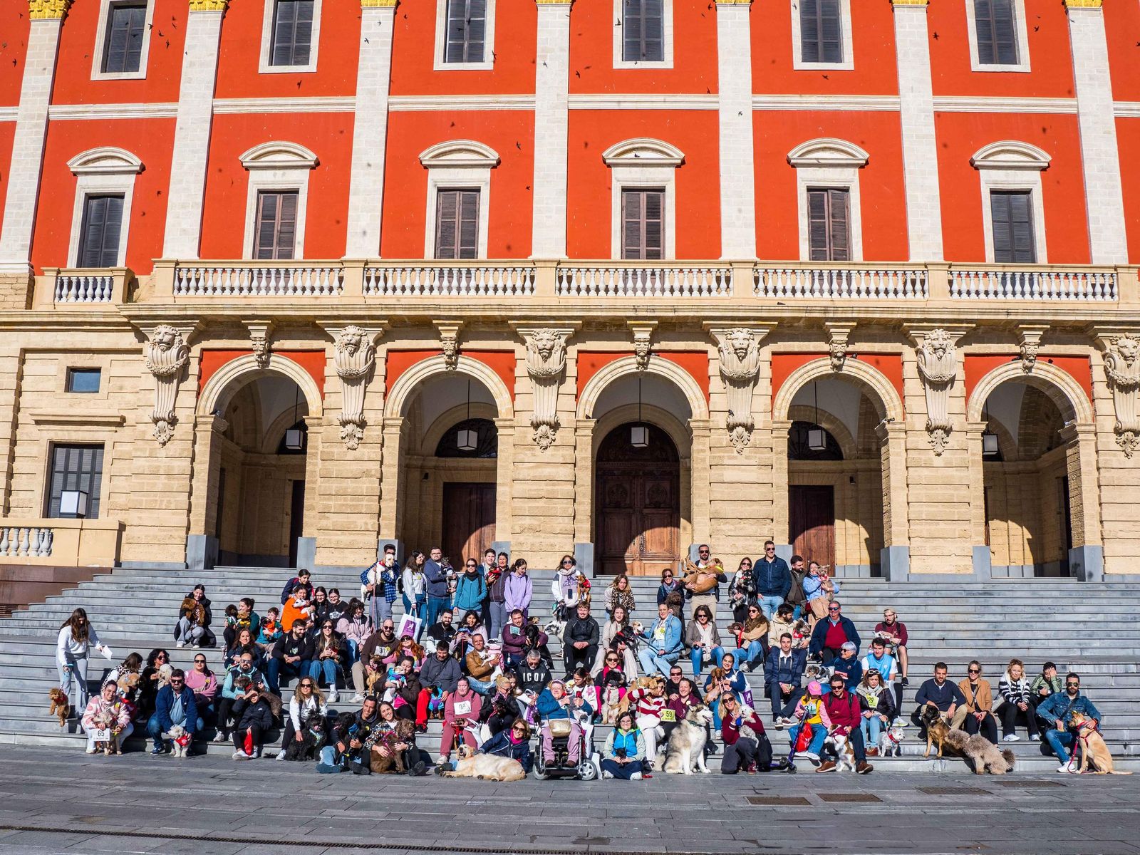 Las imágenes de San Antón 2025 en San Fernando