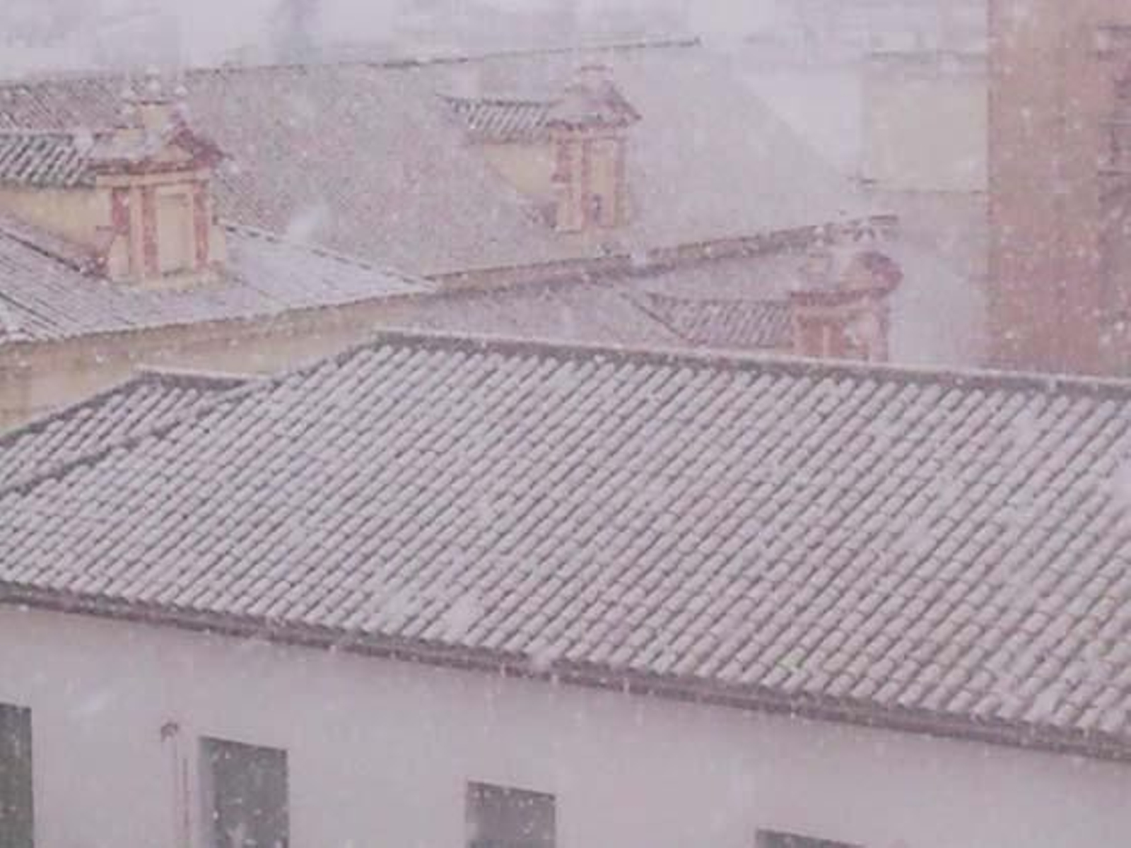 Foto: Carlos Muñoz, Edu, Auxi Nuevo, José Puerto