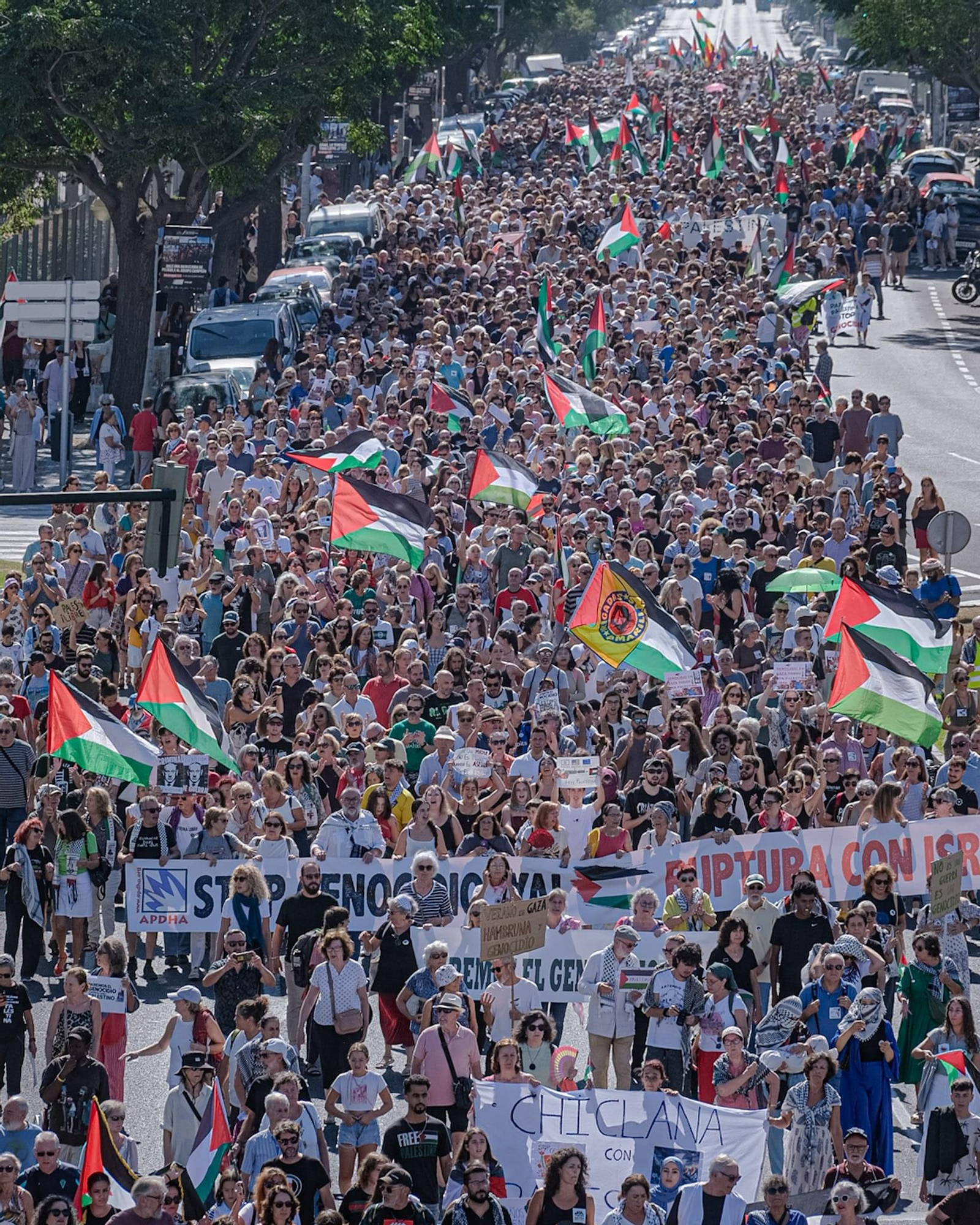 Así fue la multitudinaria manifestación de apoyo a Palestina en Cádiz