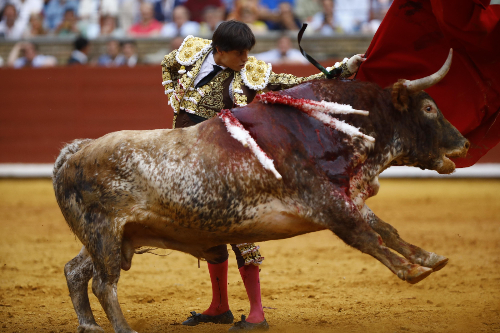 La corrida de Talavante, Roca Rey y Lagartijo, en Córdoba, en imágenes