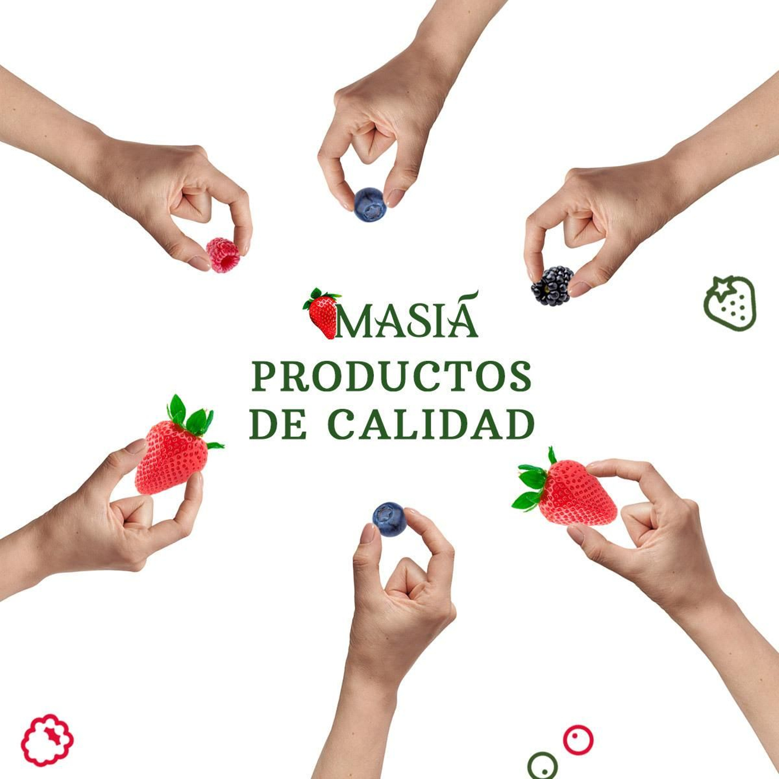 Masiá Ciscar crea el certificado de calidad SBSP para garantizar la sostenibilidad de sus frutos rojos Masiá Ciscar crea el certificado de calidad SBSP para garantizar la sostenibilidad de sus frutos rojos