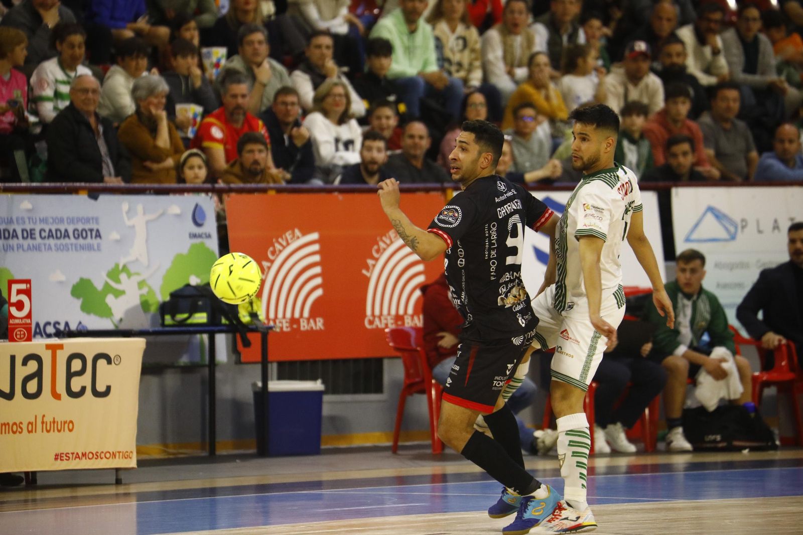 Las mejores fotos del ambiente en Vista Alegre para el Córdoba Futsal - Noia