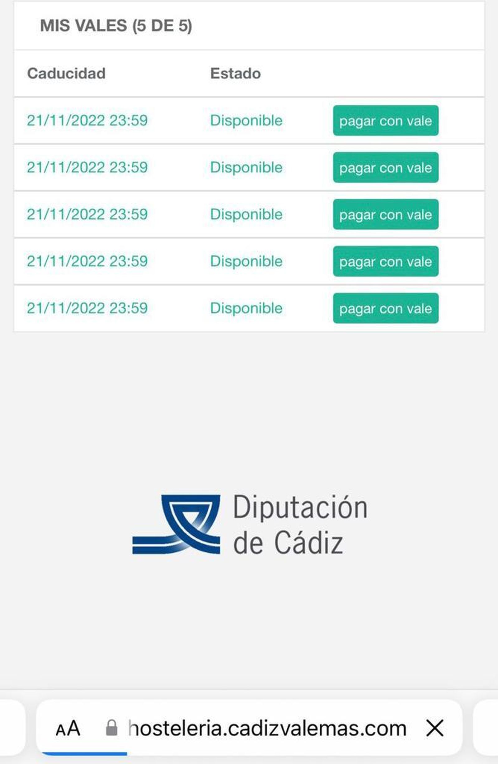 Ejemplo de los vales asignados.
