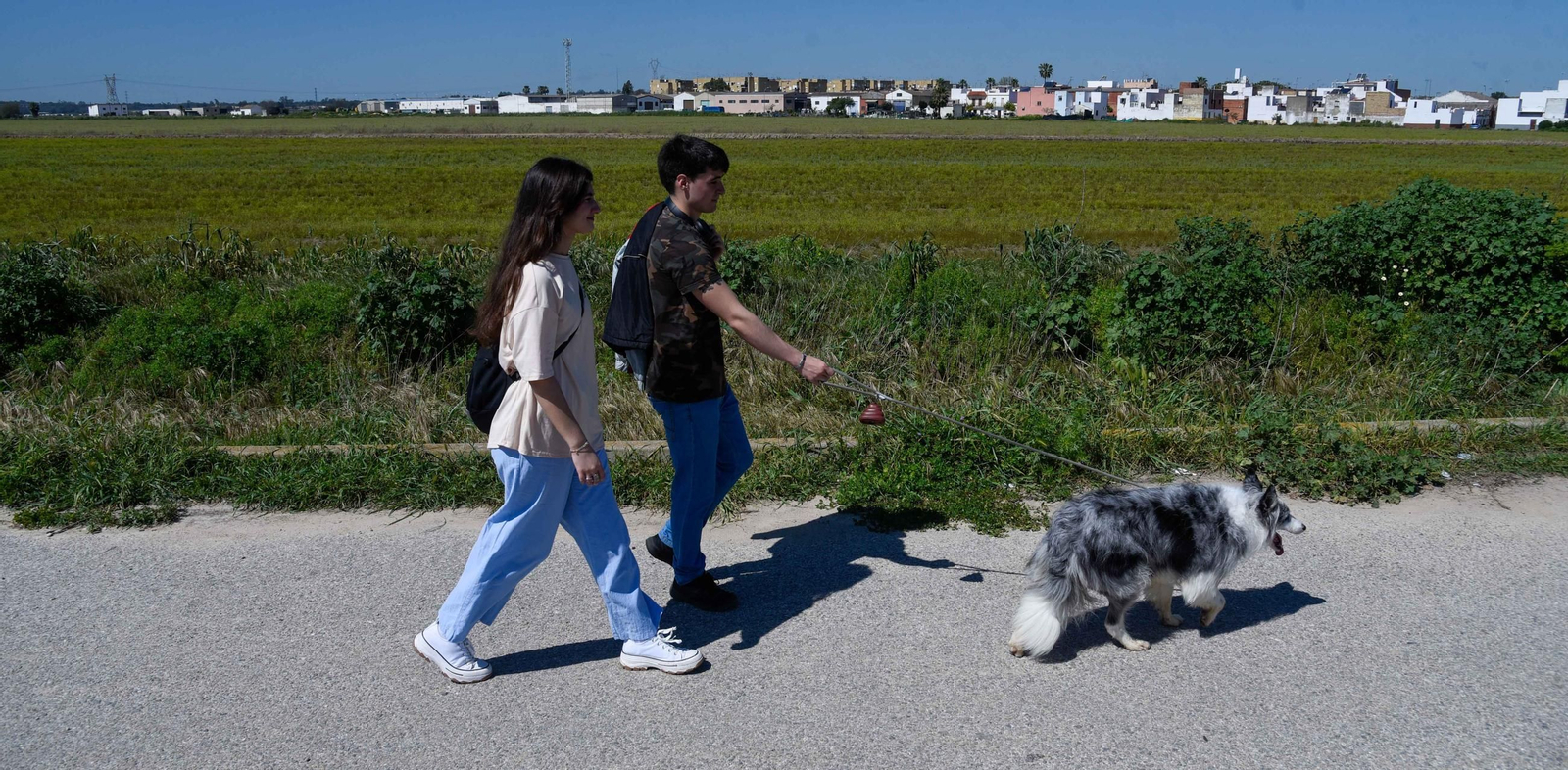 Control de larvas por el Virus del Nilo en la marisma de La Puebla del Río