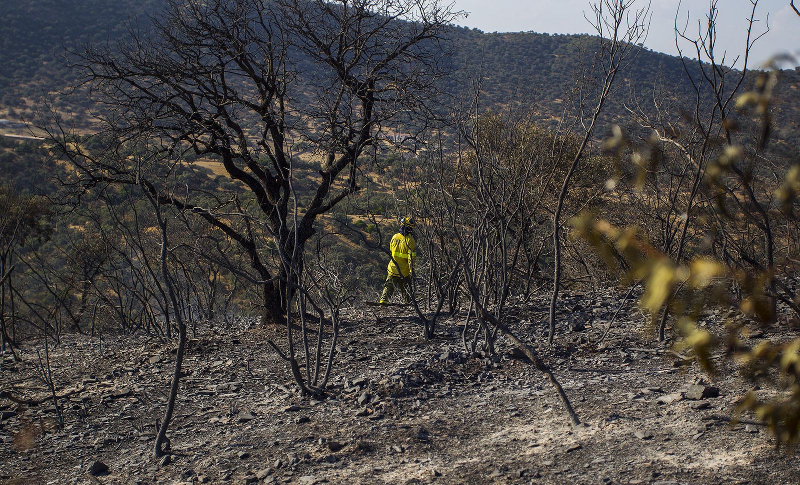 El incendio forestal de El Ronquillo, en imágenes