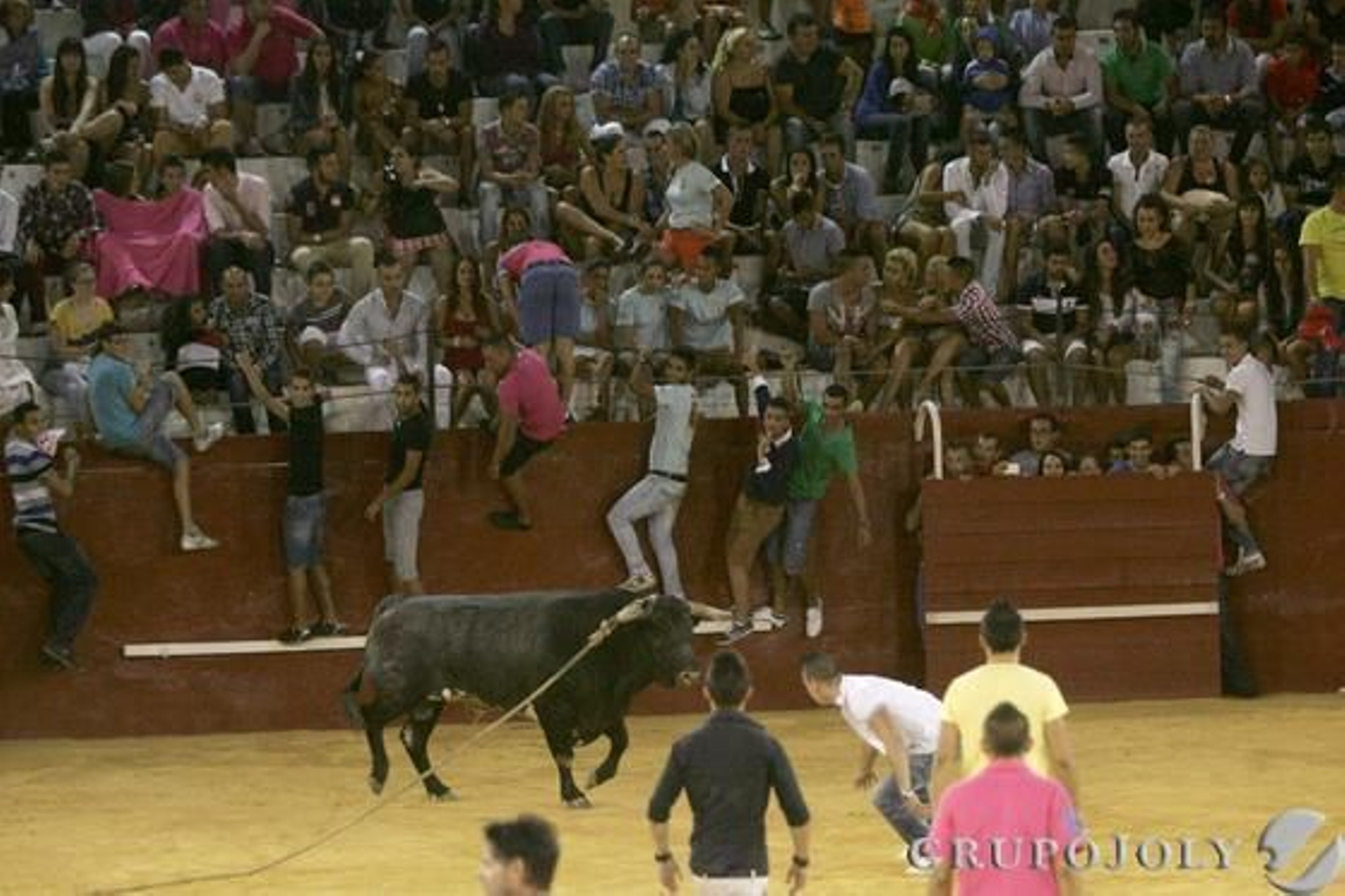 Multitud de jóvenes se animaron a salir delante del toro

Foto: José María Quiñones