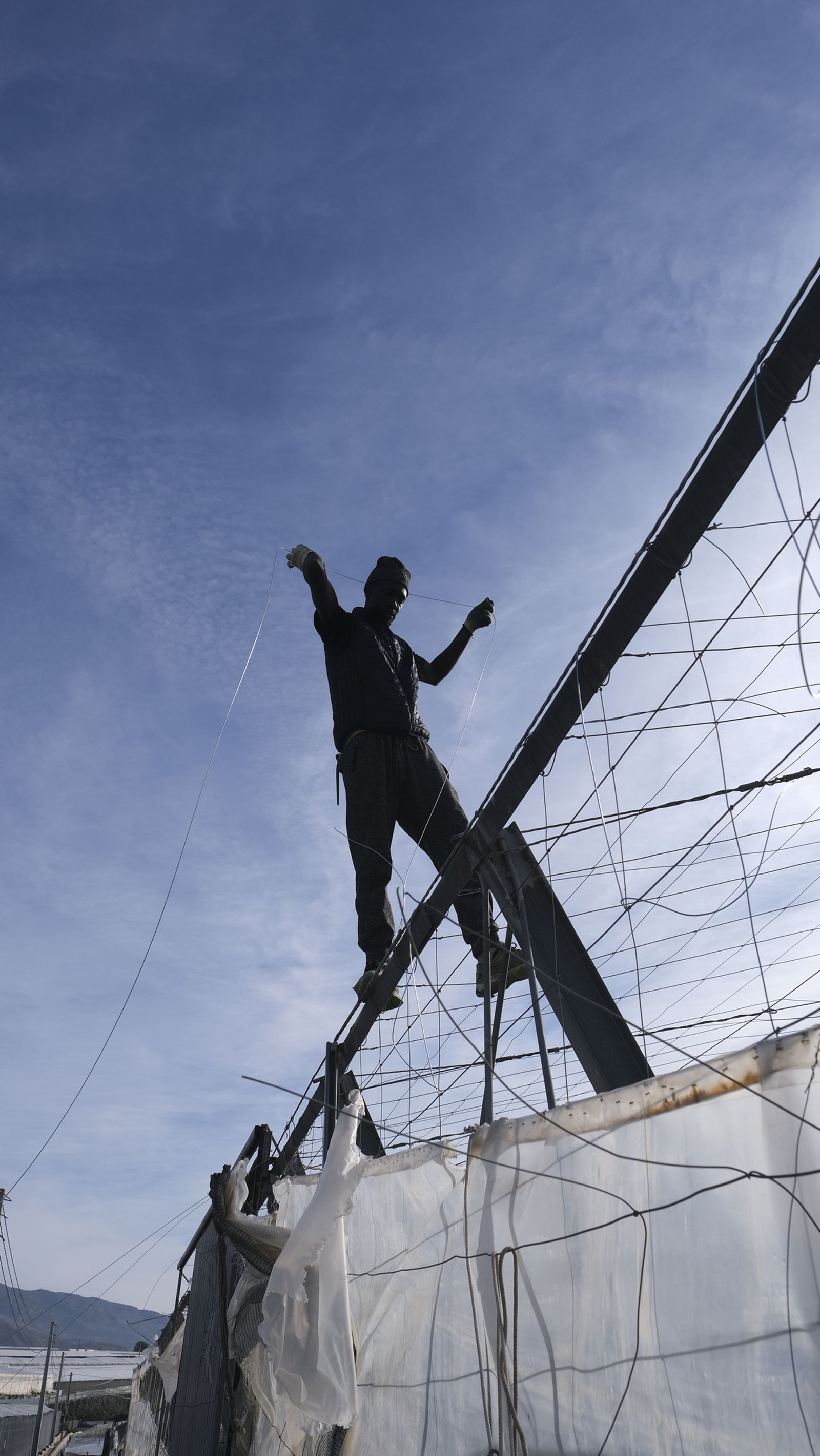 Los efectos del temporal de viento en los invernaderos, en imágenes