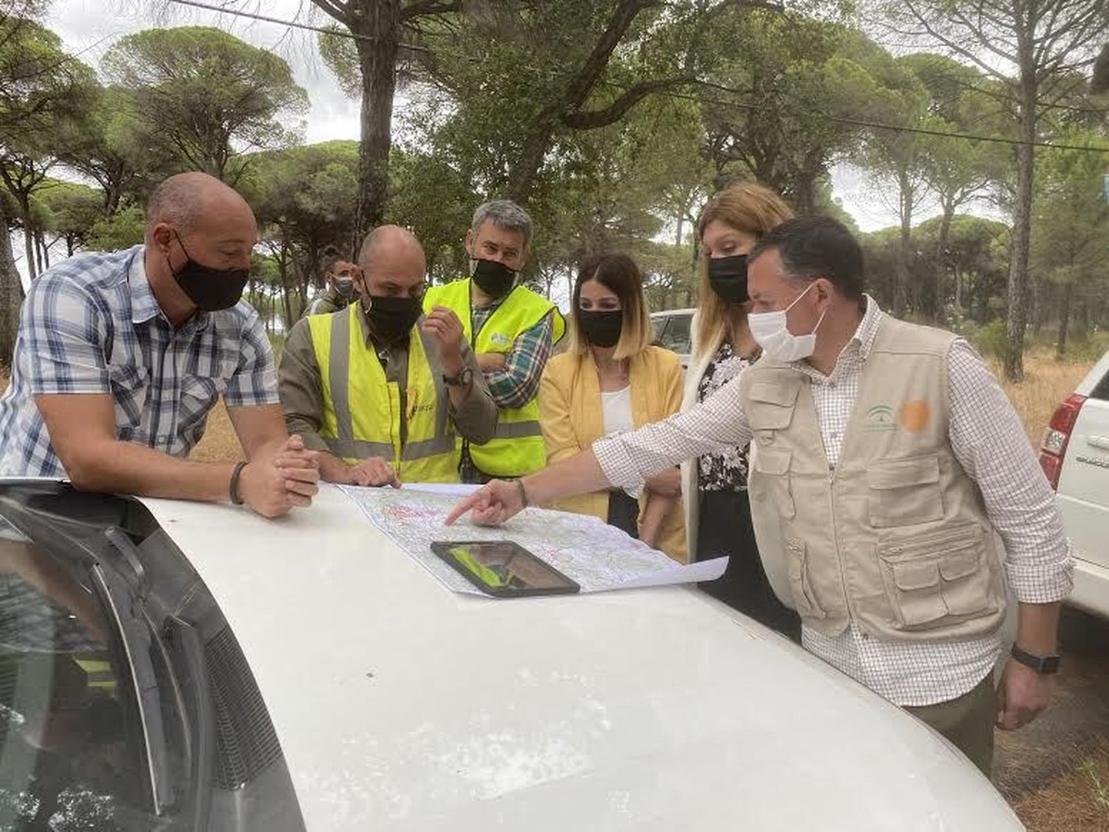 Paraje de Los Pinos en Valverde del Camino