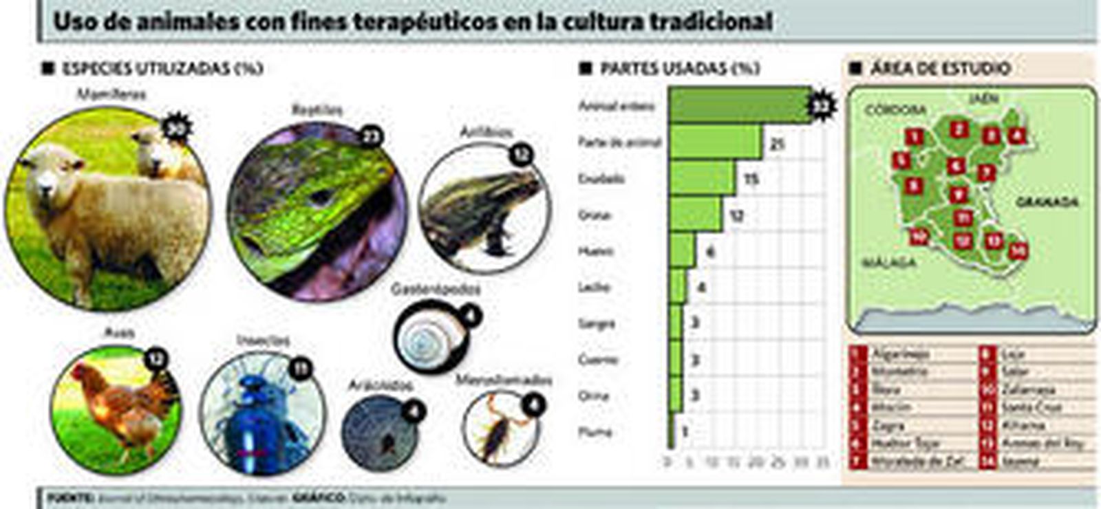 El lento ocaso de la 'medicina folk'