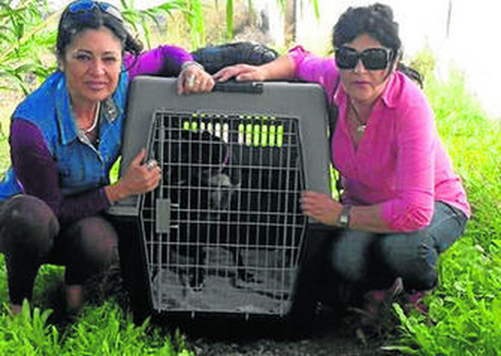 Darlo todo por los animales