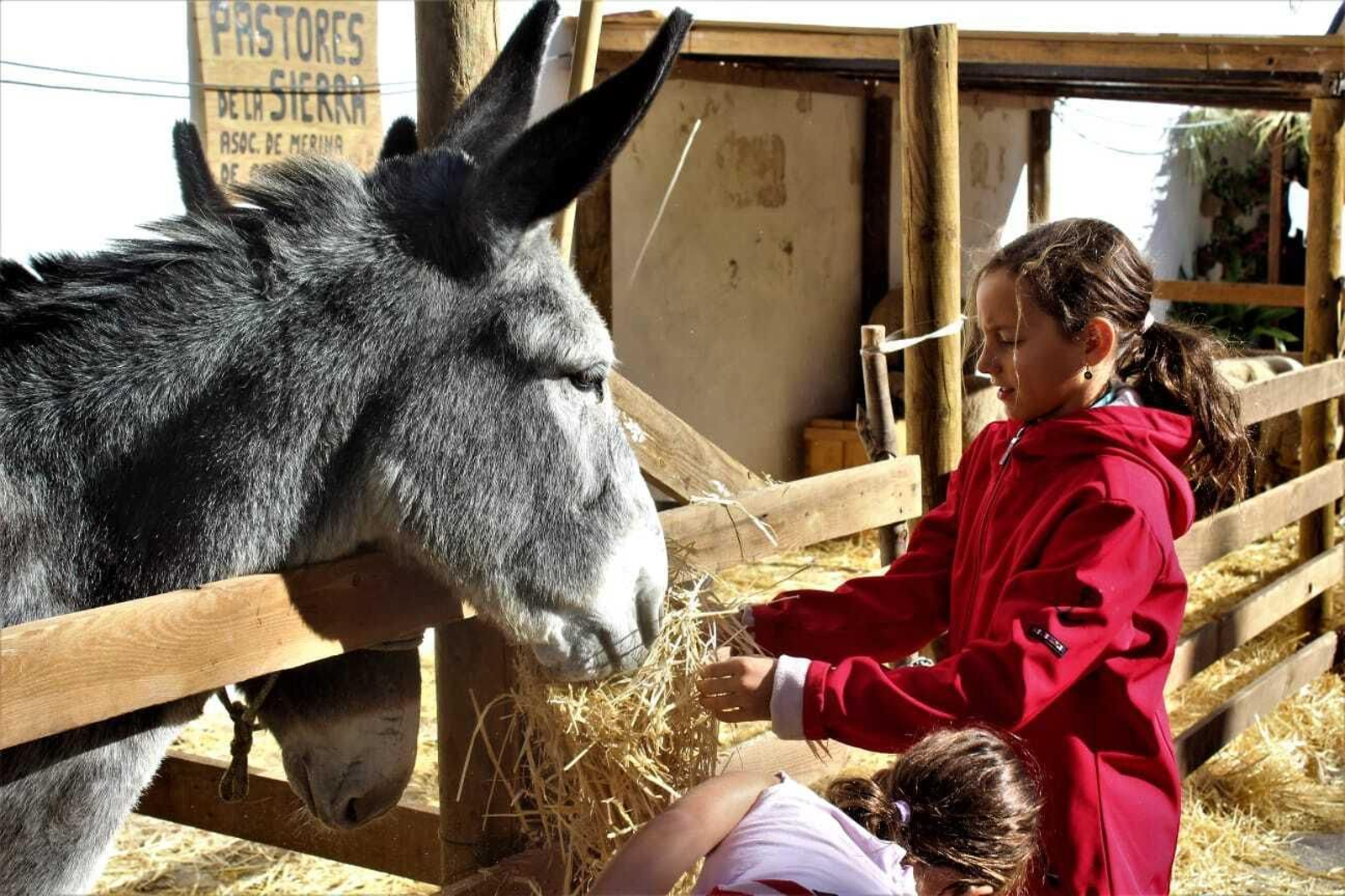 Los Bandoleros toman Grazalema