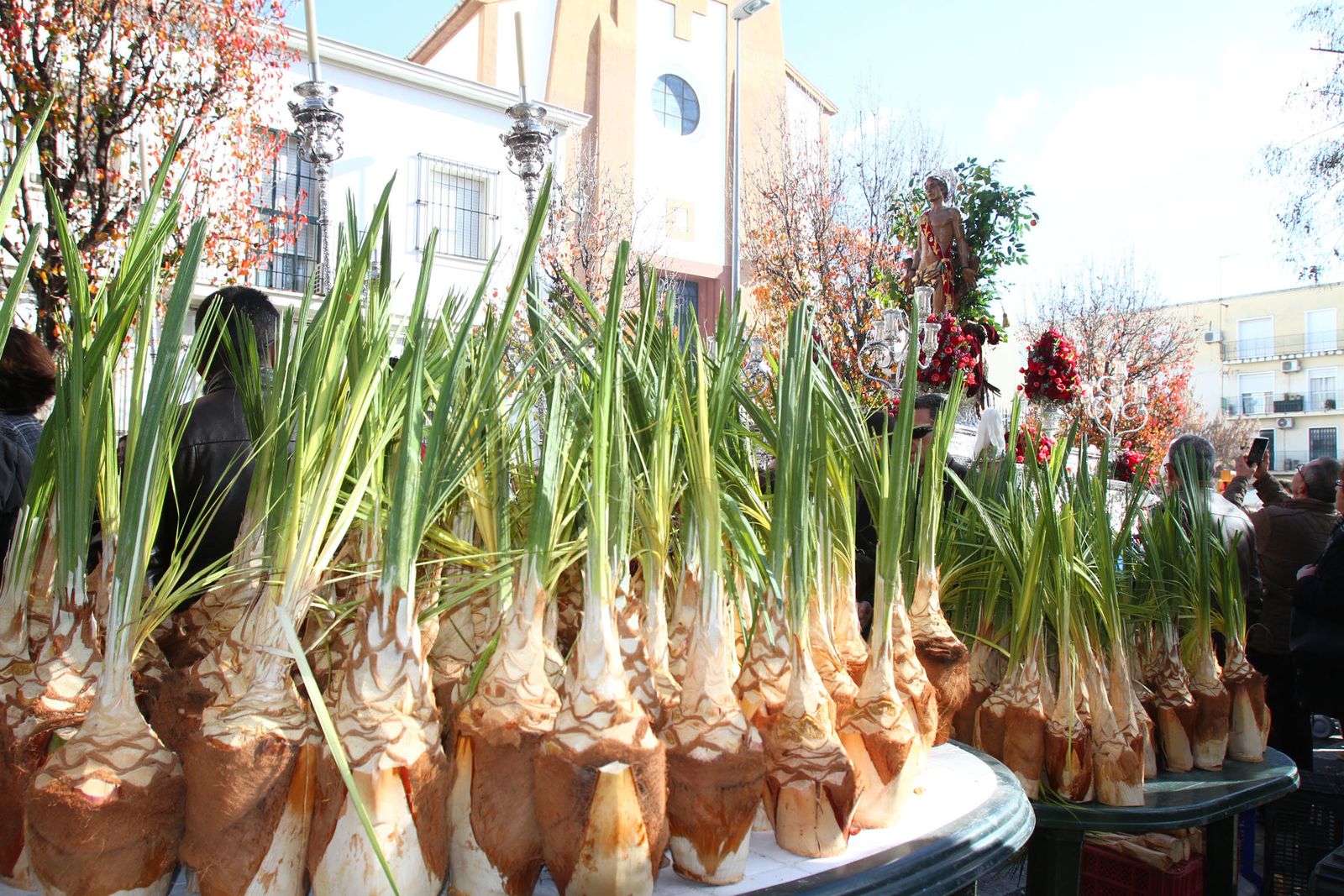 La procesión de San Sebastian en Imágenes.