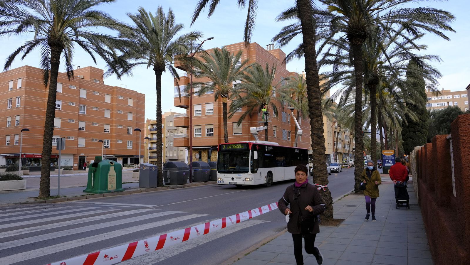 Cordón de protección en el entorno de las palmeras de la avenida de Cabo de Gata