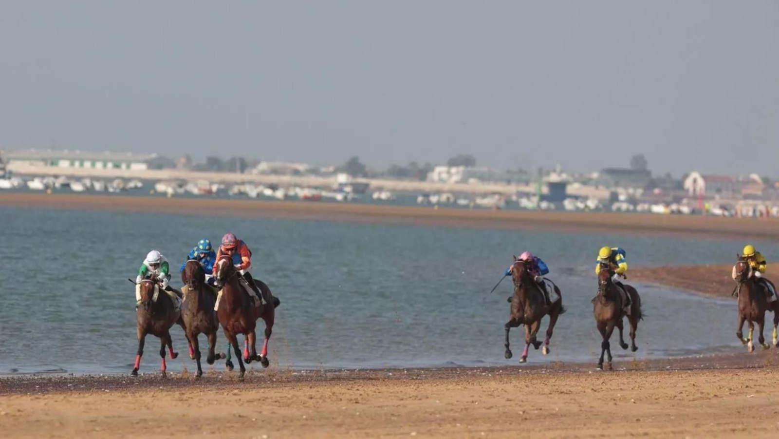 La Sociedad de Carreras de Caballos de Sanlúcar hace un balance positivo de la edición de este 2025.