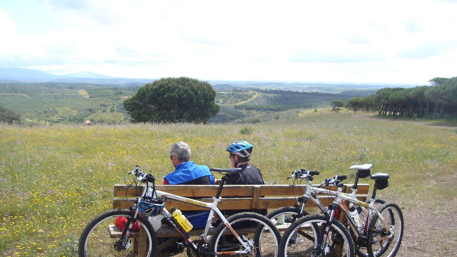 Las rutas en bicicleta son una buena manera de conocer Albuferia y sus alrededores en pocas horas.