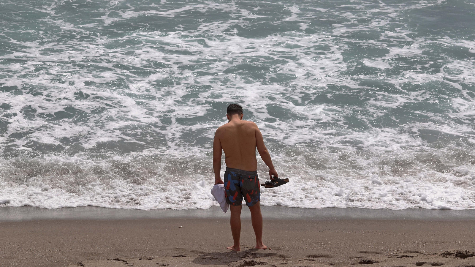 Fotos de la invasión de medusas en las playas del Campo de Gibraltar