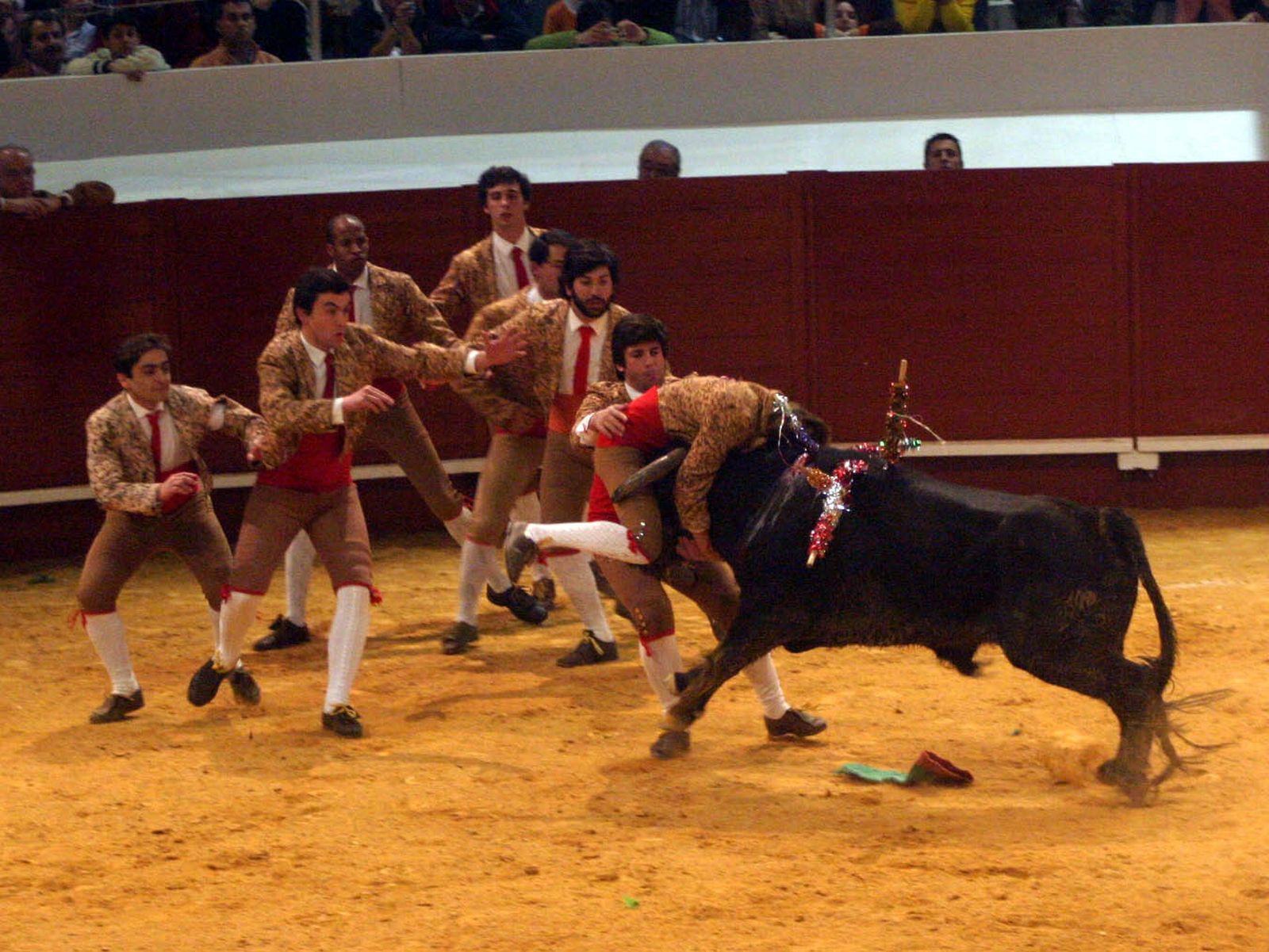 Forçados en la IX Feria Mundial del Toro.