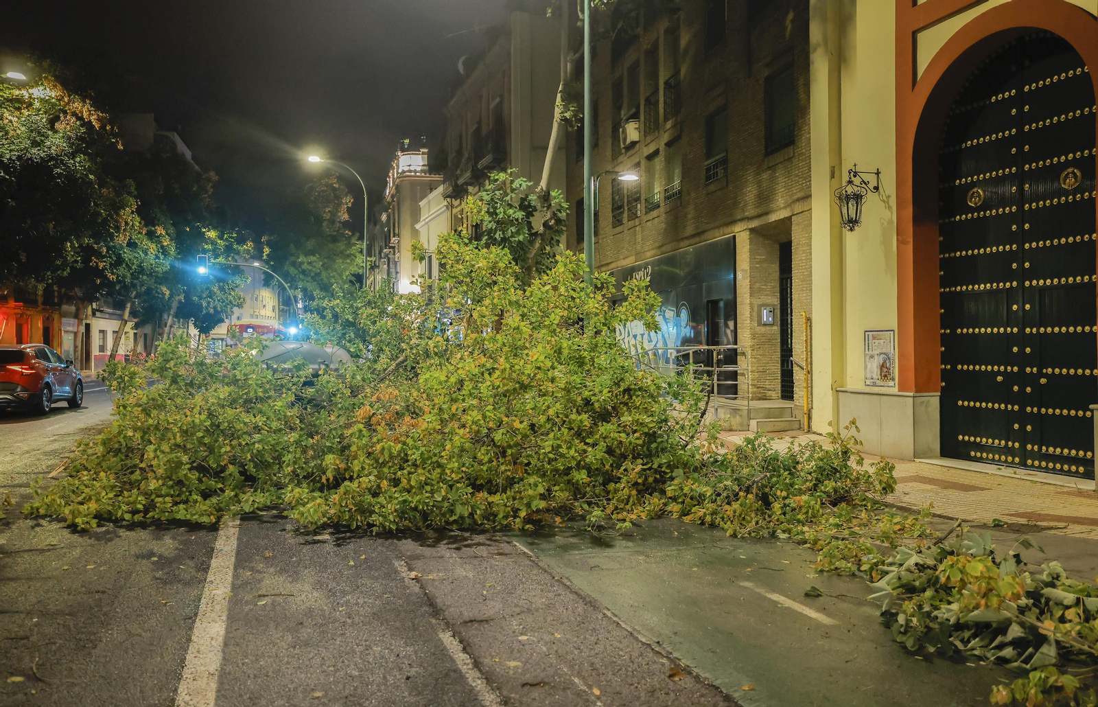 Los efectos de la borrasca 'Bernard' en Sevilla, todas las fotos