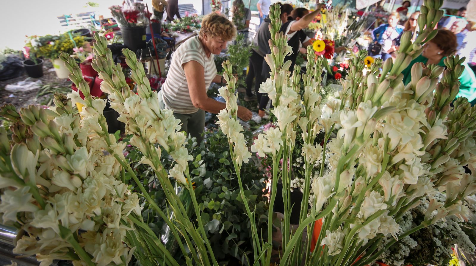 Día de recuerdo y emociones en el cementerio de Jerez