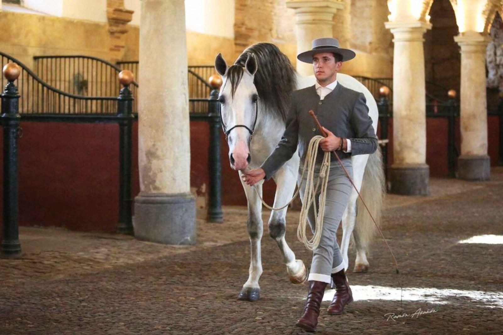 Un ejemplar de Pura Raza Español, en las Caballerizas Reales de Córdoba.