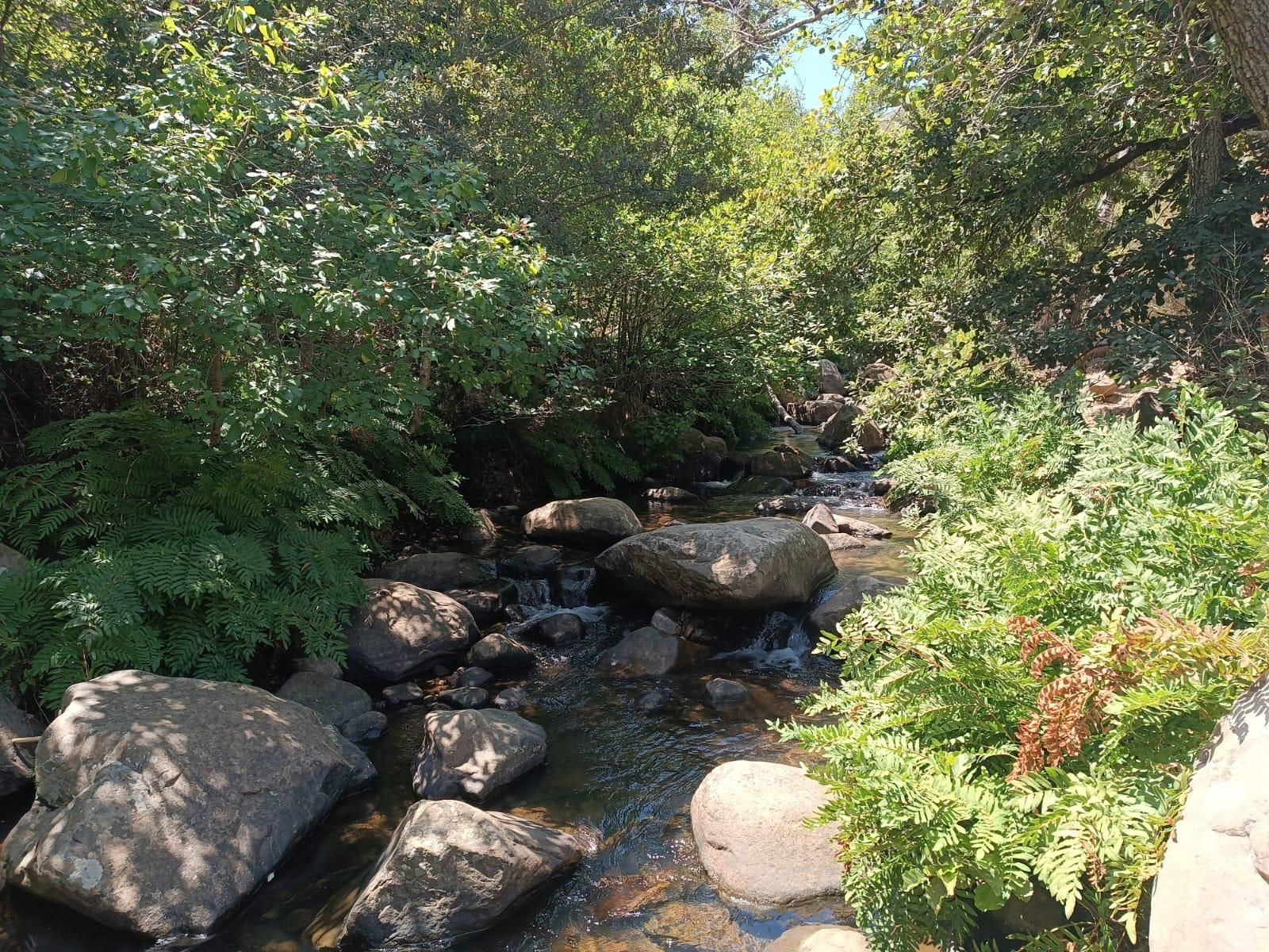 El río de la Miel de Algeciras en agosto