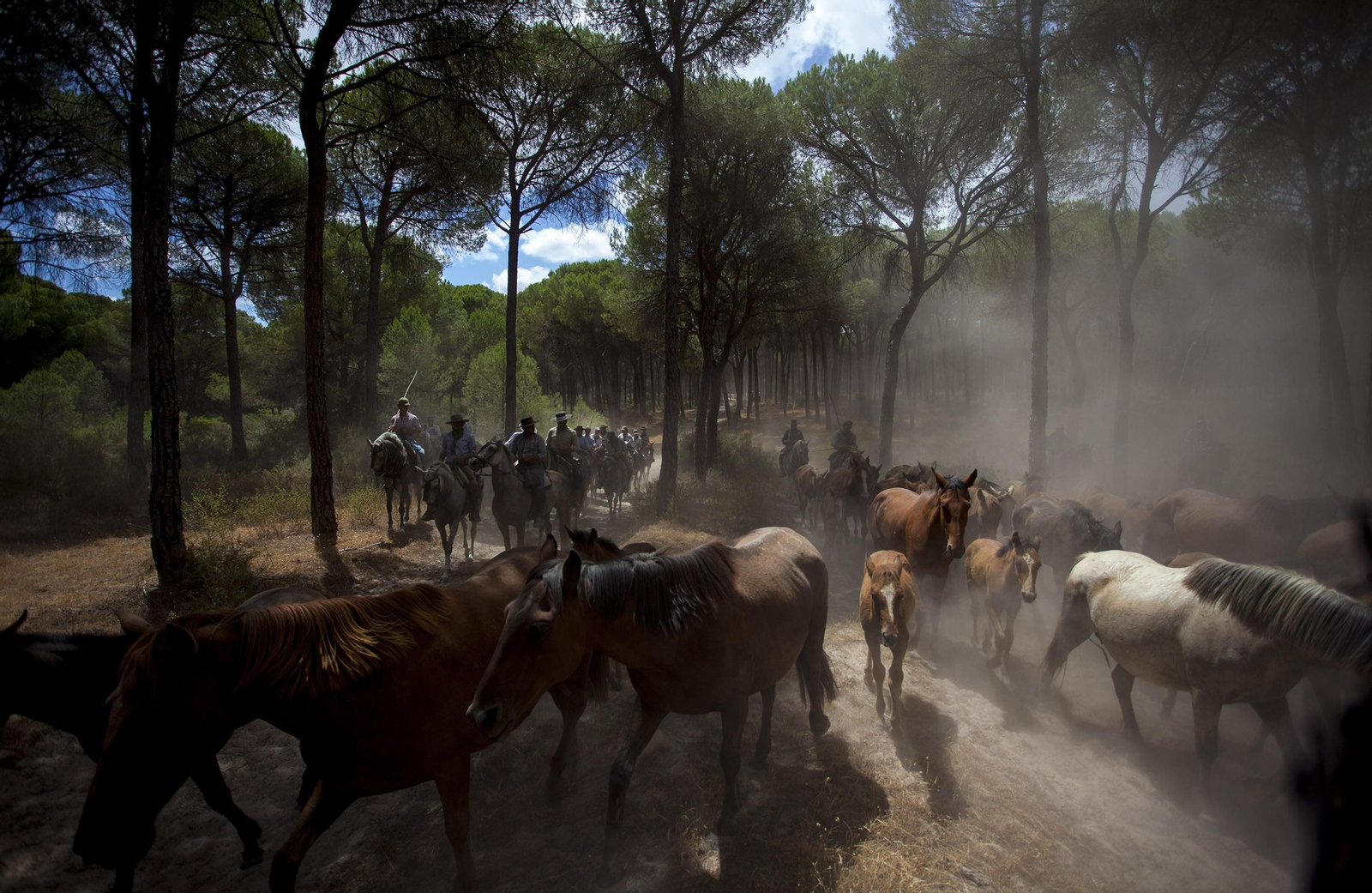 La Saca de las Yeguas, en imágenes
